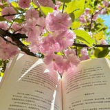 月色正浓