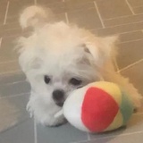 你怎么那么可爱