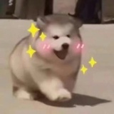 再也不听