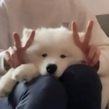 就叫这个ming