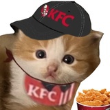 猫咪恶魔