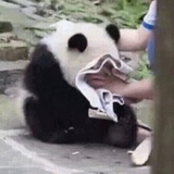 豆沙包子
