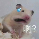妹妹我岸上走