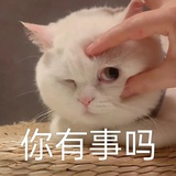 致力反PUA事业