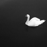 ○