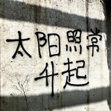 窦大胆