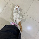 扭扭扭薯条🍟