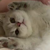 广告位