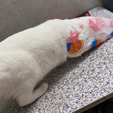 闪光了呀