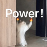 哈几码拉姑拉姑