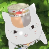 不眠大陆