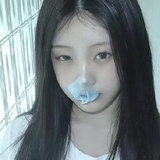タヌキ