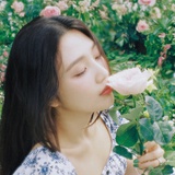 糕糕🍰