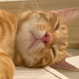 想不到新的名字