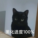 拉格朗日