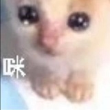 椰子冰