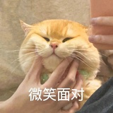 莫问生途
