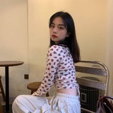 你和我和猫咪