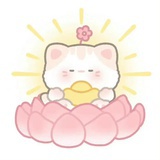 momoo