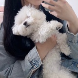 小猪猪