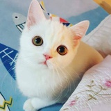 看不懂