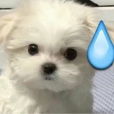 你的豆瓣好友