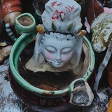颠狂常态