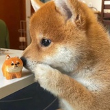 一元硬币