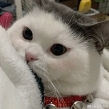举起手来不许动