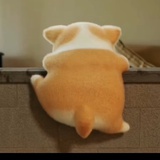 老年人作息