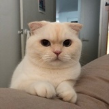 词不达意