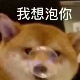 睡觉不行