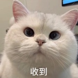 李逍遥(已黑化)