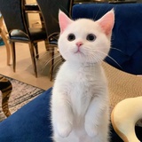 宝姐