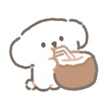 coconut🥥