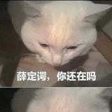 西瓜
