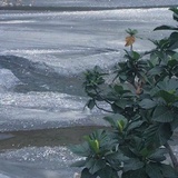 何须月照