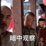 纪宝宝