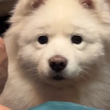 今天早早睡