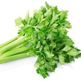 一头芹菜