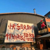 没有烦恼很幸福