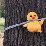 77