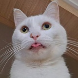 作物在儀表盤上