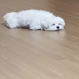 每天只想发点疯