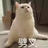 老周笛耳