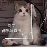 一只好猫🐈
