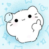 人鱼星座