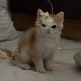两点了