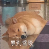 晨晞静念