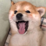 ㅇㅇ